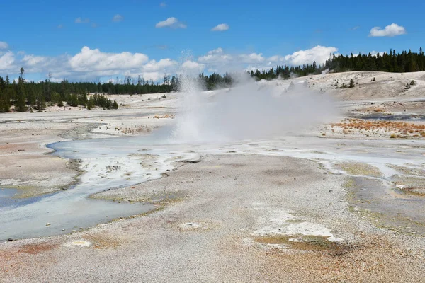 Lower Geyser Basin Yellowstone National Park Wyoming Estados Unidos — Foto de Stock