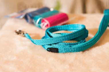 Tasmasız bir kedi için Blau tasması