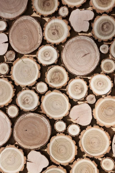 Textura de troncos de madera Imágenes de stock libres de derechos