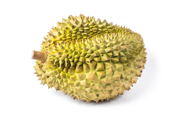 Durian Monthong Fruit Vers Geïsoleerd Witte Achtergrond Clipping Pad Naam — Stockfoto