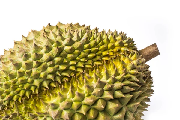 Durian Monthong Fruit Vers Geïsoleerd Witte Achtergrond Clipping Pad Naam — Stockfoto