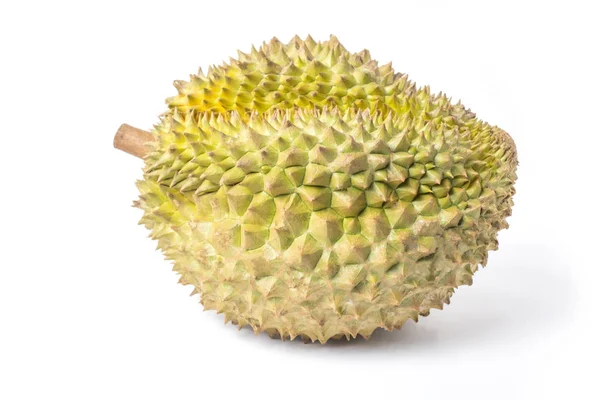 Durian Monthong Fruit Vers Geïsoleerd Witte Achtergrond Clipping Pad Naam — Stockfoto