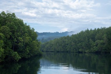 Mangrov ormanıyla nehir manzarası. Ve bulutlarla dolu berrak gökyüzüne. Turizm ve eğlence için uygun.