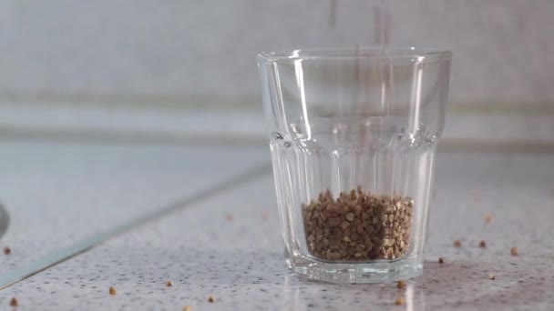 Trockener Buchweizen wird in ein Glas gegossen, zerbröselt und füllt es. — Stockvideo