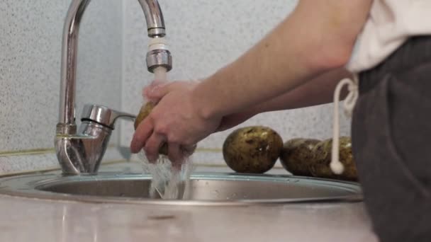 Tvätta potatisen med händerna i diskhon — Stockvideo