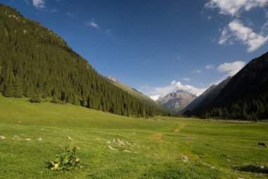 Altun Arashan manzara