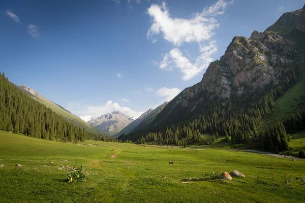 Altun Arashan manzara