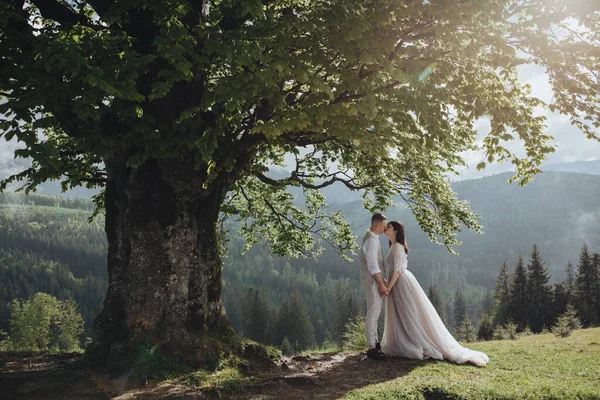 Spring wedding in the mountains. A young guy in a white shirt and trousers and a girl in a white dress are standing under the branches of a large tree in the mountains at sunset
