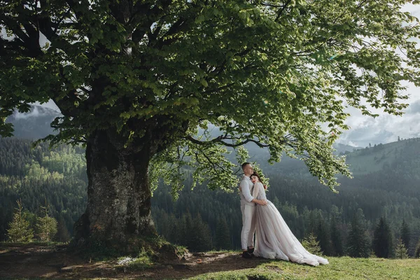山の中で春の結婚式 白いシャツとズボンを着た若い男と白いドレスを着た女の子が夕日の山の大きな木の枝の下に立っている — ストック写真