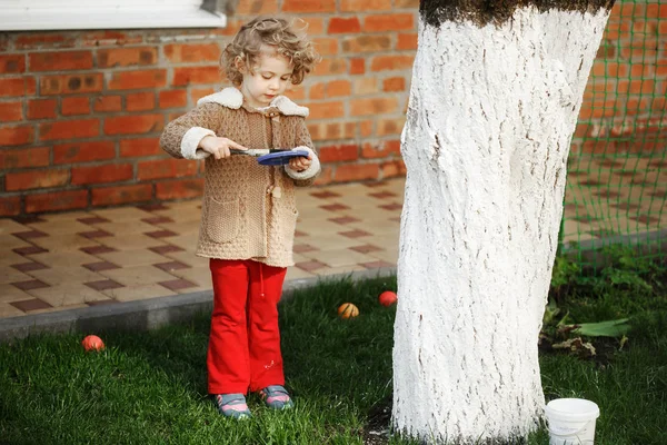 Little adorable blonde girl covering the tree with white paint to protect against rodents in the garden in the spring. — Stock Image Little adorable blonde girl covering the tree with white paint to protect against rodents in the garden in the spring. Stock Image