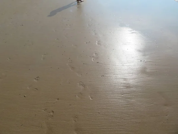 Prachtig strand met schoon water en sprankelend zand — Stockfoto