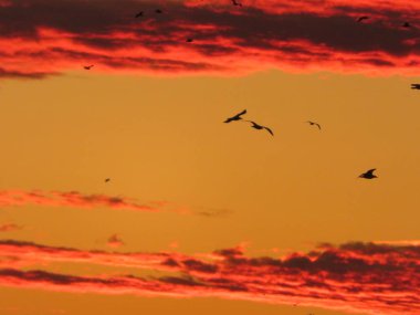 Güzel bir gün batımı fotoğrafı Bulutlarda güzel bir renk