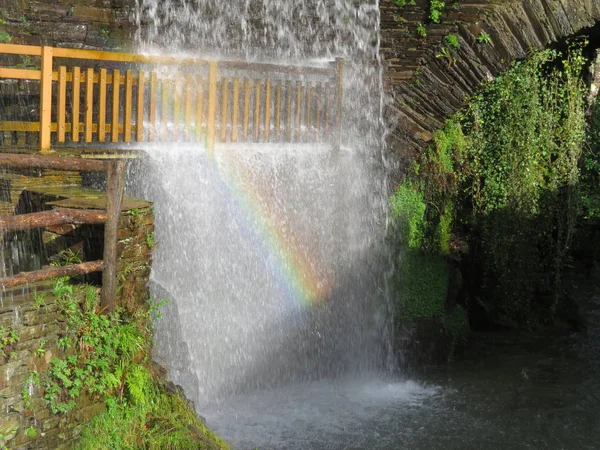 Bellissimo paesaggio con abbondanza di acqua e vegetazione foreste, cascate fiumi — Foto Stock