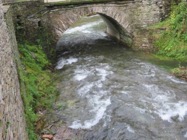 Bol su ve bitki ormanları, şelaleleri olan güzel bir manzara.