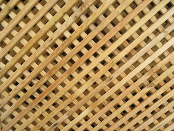 Onları bitkilerin içinde tutmak için güzel bir ahşap arka plan mücadelesi.