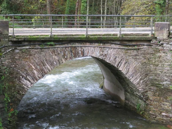 Bellissimo Paesaggio Con Abbondanza Acqua Vegetazione Foreste Cascate Fiumi — Foto Stock