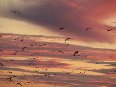 Güzel bir gün batımı fotoğrafı Bulutlarda güzel bir renk