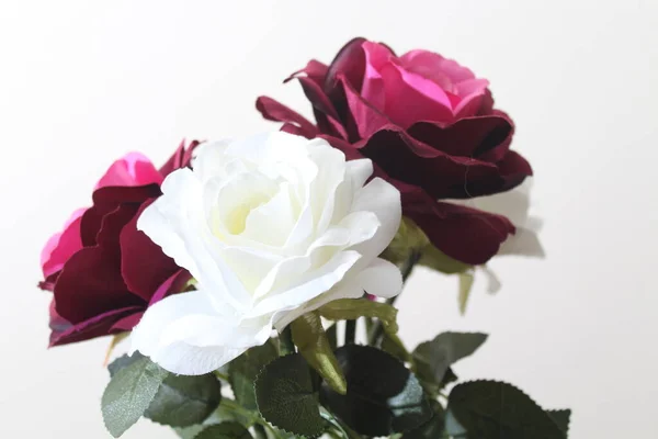 Schöne Blumen Von Intensiven Farben Und Von Großer Schönheit — Stockfoto