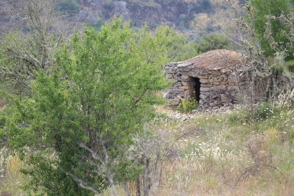 Hayvanların Barınağına Adanmış Güzel Taş — Stok fotoğraf