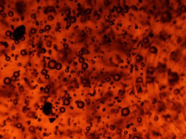 Parlak renk baloncukları Soyut Baloncuk Şampuanı Efektleri