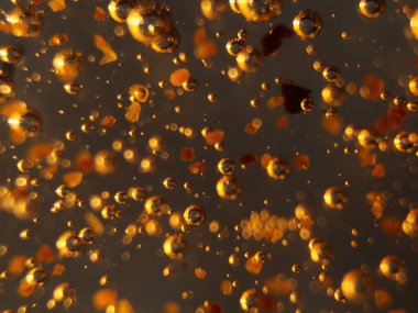 Parlak renk baloncukları Soyut Baloncuk Şampuanı Efektleri