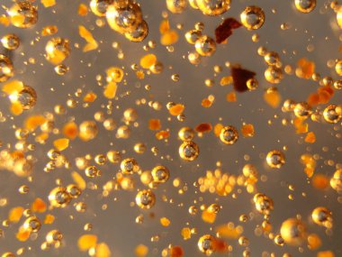 Parlak renk baloncukları Soyut Baloncuk Şampuanı Efektleri