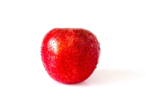 Красное яблоко с каплями на белом — стоковое фото