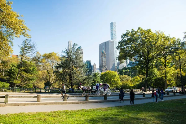Central Park in New York City . Nice sunny day in autumn. November ,2019.