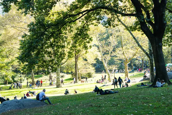 Central Park in New York City . Nice sunny day in autumn. November ,2019.