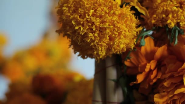 Cempasichitl Λουλούδι Από Την Ημέρα Των Νεκρών — Αρχείο Βίντεο