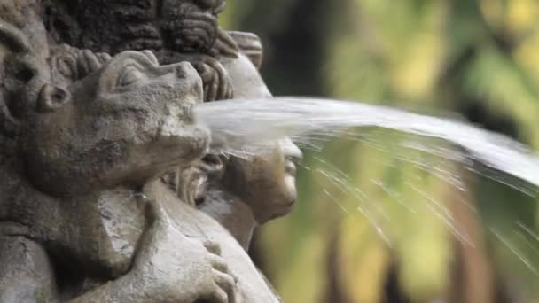 Water Rock Fountain Close — Stock Video
