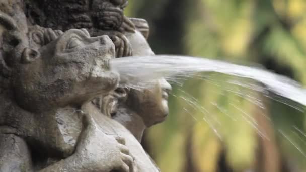 Fontana Roccia Acqua Primo Piano — Video Stock