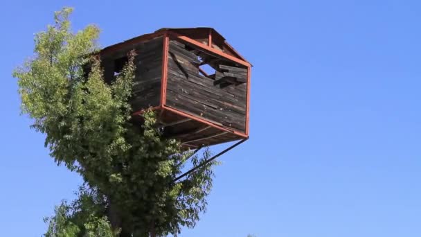 Casa Árvore Quebrada Sobre Céu Claro — Vídeo de Stock