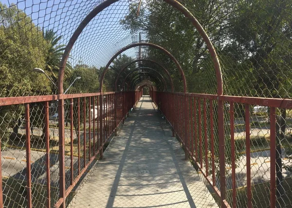 Meksika 'da yaşlı ve boş insanlar arasında köprü