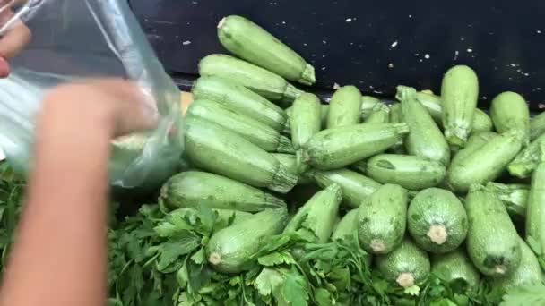 Hand Plocka Upp Färsk Zucchini Den Lokala Marknaden — Stockvideo