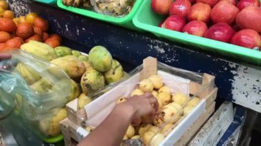 El, otantik Meksika pazarından taze kabak topluyor.