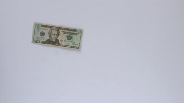 Main Payant Dollars Américains Sur Fond Blanc — Video