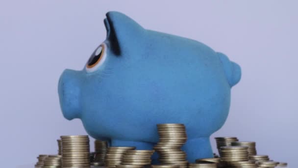Banco Blu Piggy Tra Monete Oro — Video Stock