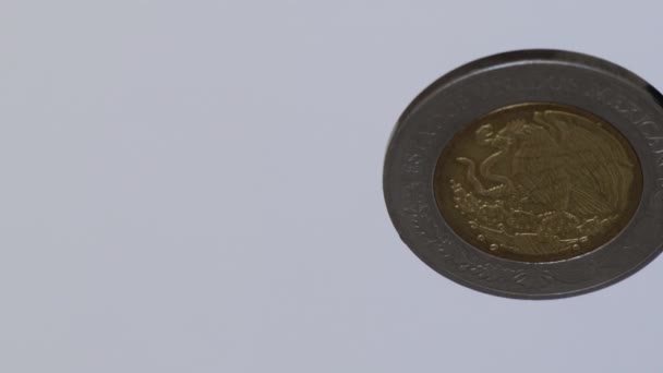 Moneda Mexicana Pesos Girando Sobre Fondo Blanco — Vídeo de stock