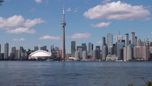 Toronto Skyline Mit Landung Des Flugzeugs Und Fliegendem Vogel — Stockvideo