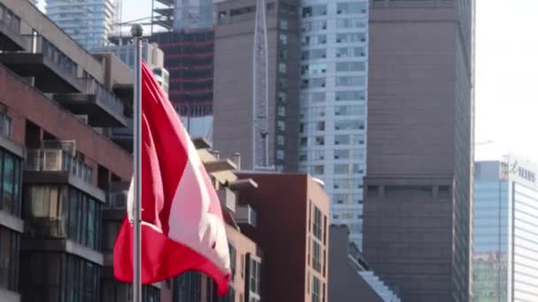 Canadian Flag Waving Toronto Buildings — Stock Video