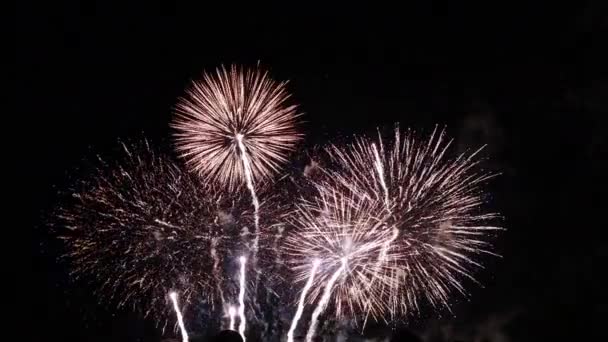 Viel Feuerwerk Wirklich Dunkler Nacht — Stockvideo