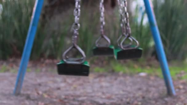 Одинокий Качели Парке Движется Вперед Назад — стоковое видео