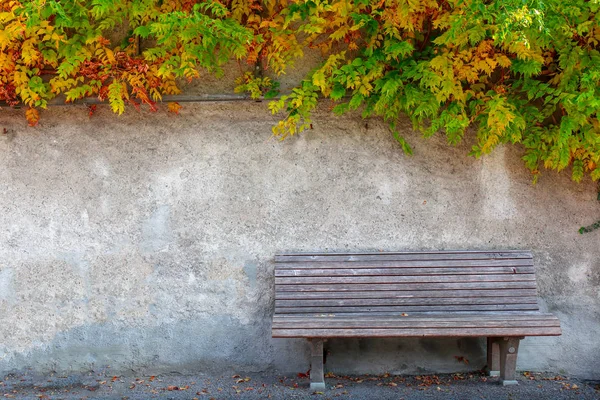 Bench made of wood next to the white cement wall — Stock Photo, Image