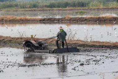 Çiftçi tarlaları bir motor traktörüyle sürüyor..