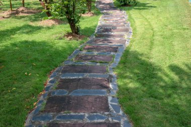 Stone ve Leaves yürüyüş dokusu grunge tarzı arkaplan