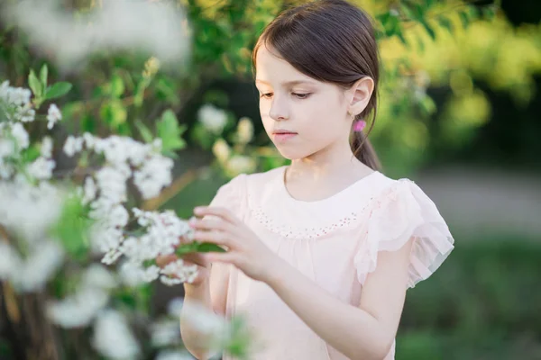 Entzückendes kleines Mädchen im blühenden Apfelbaumgarten — Stockfoto