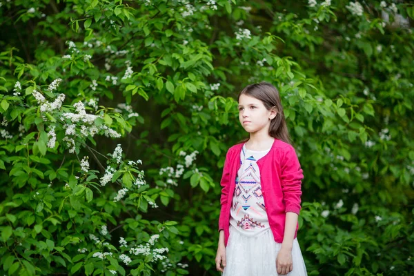 Serious adorable little child near bird cherry bushes — Stock Photo, Image
