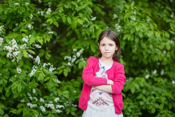 Ciddi sevimli küçük çocuğun yanında kuş kiraz burçlar