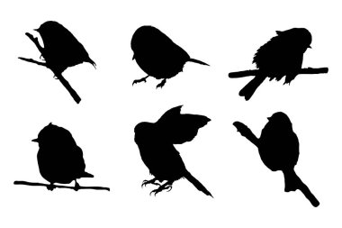 Göğüsleri silhouetts kümesi